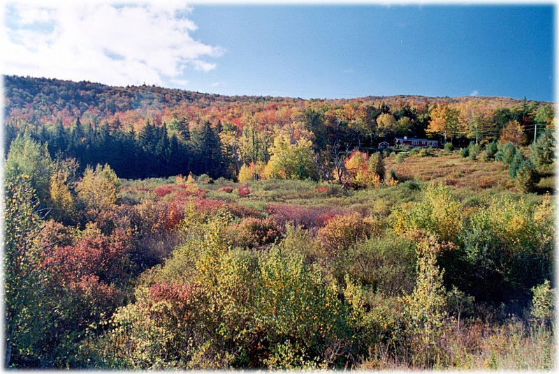 Landscape 1, New England America.jpg
